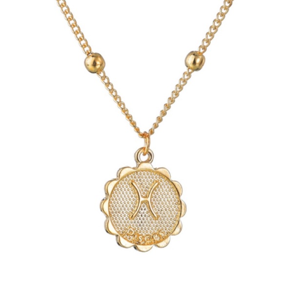 Pisces Zodiac Coin Necklace - Picture 2 of 8